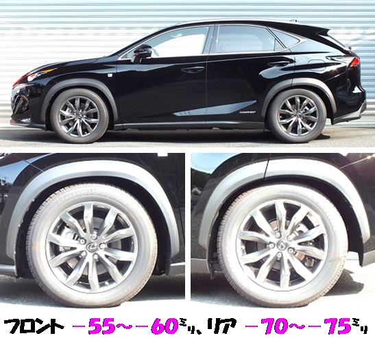 レクサスNX300h AWD AYZ15 車高調 『 Best☆i ...