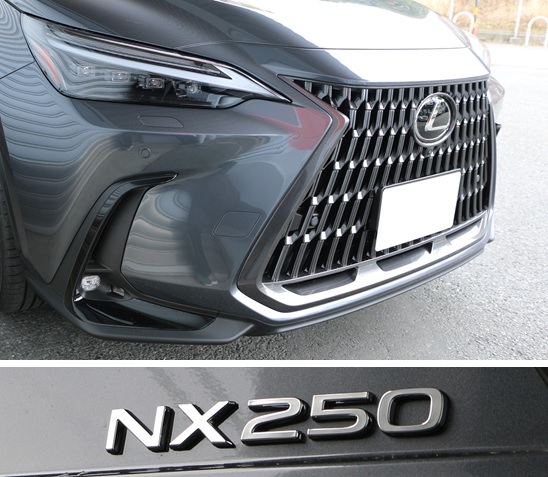 NX250 AAZA20 ダウンサス 『 Ti2000 』 マッチング完了です