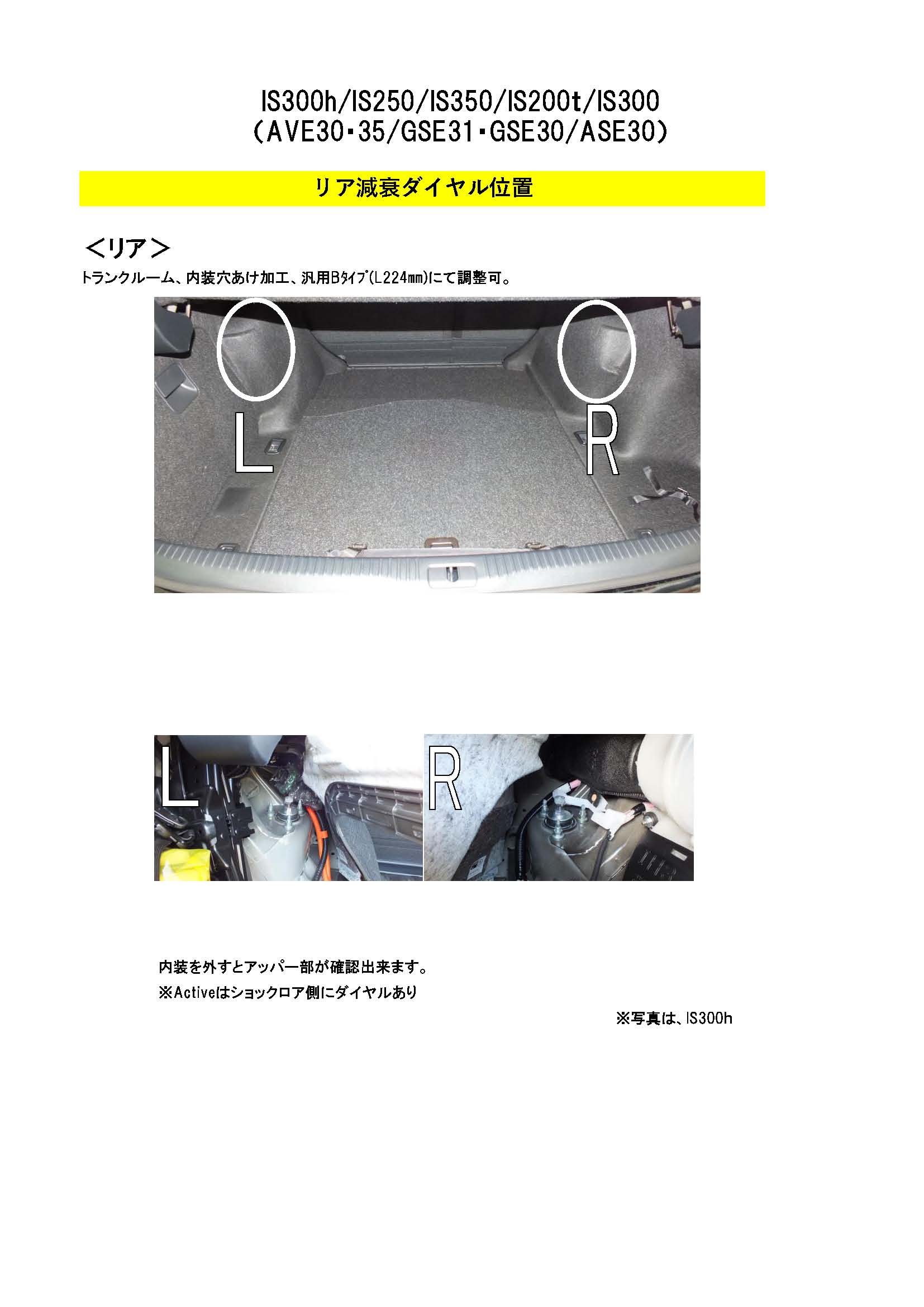 RS☆R(RSR) 車高調 Best☆i Active LIT191MA LEXUS IS250 IS300h