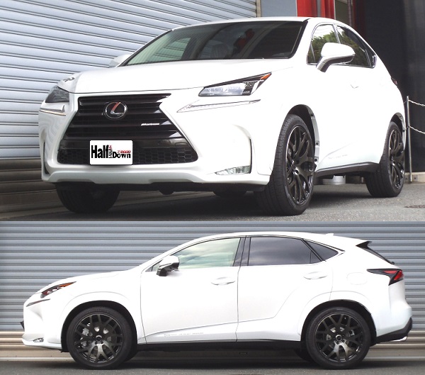 RS-Rダウンサス レクサスRC 200t Fスポーツ 楽天市場】RS-R Ti2000ダウンサス レクサス RC300h AVC10/FR 26