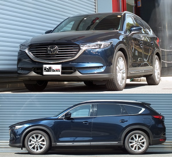 cx-8 RSRダウンサス ショック一式 商品検索